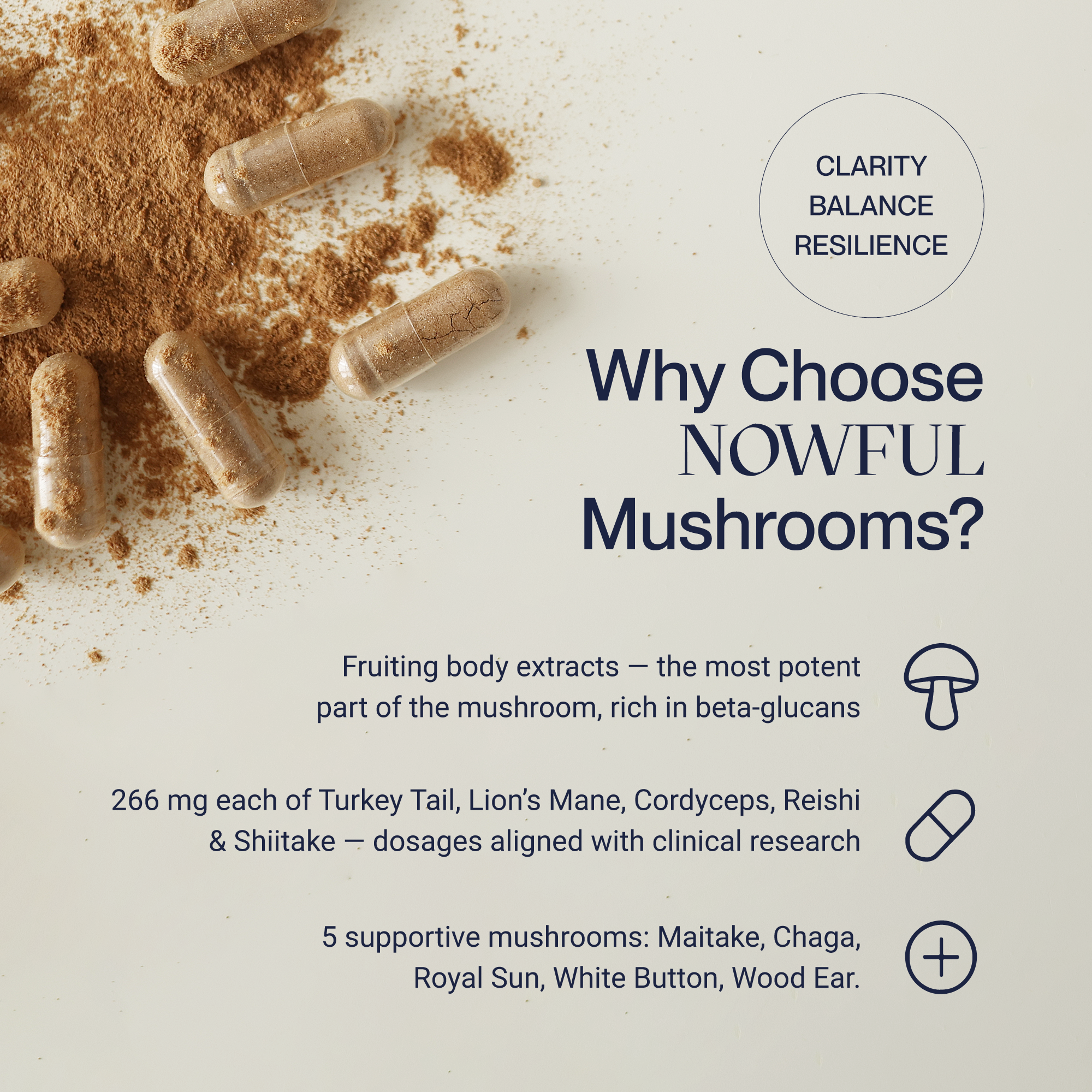 MindThrive Mushroom Complex