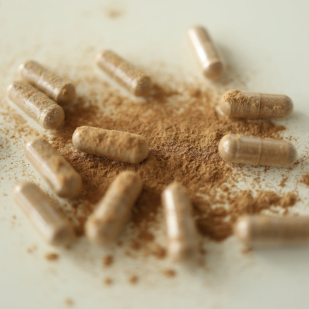 MindThrive Mushroom Complex